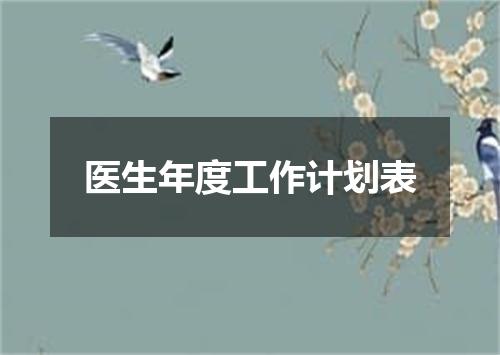 医生年度工作计划表