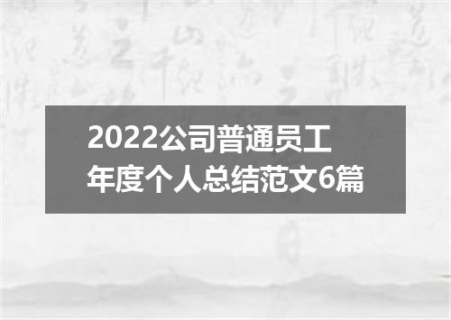 2022公司普通员工年度个人总结范文6篇