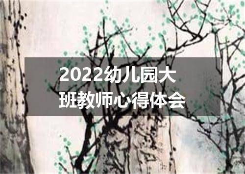 2022幼儿园大班教师心得体会