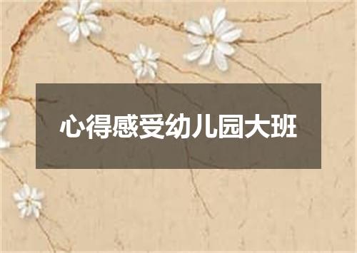 心得感受幼儿园大班