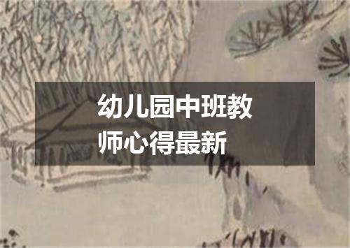 幼儿园中班教师心得最新