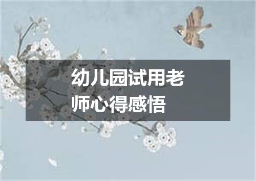 幼儿园试用老师心得感悟