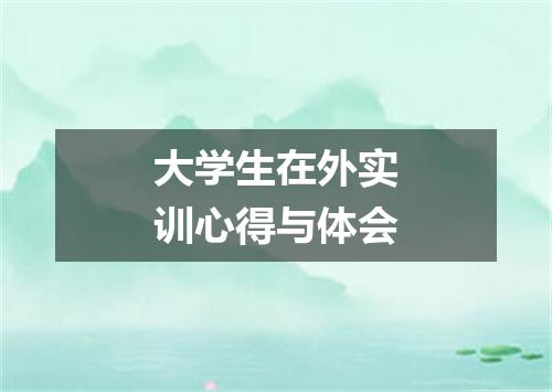 大学生在外实训心得与体会