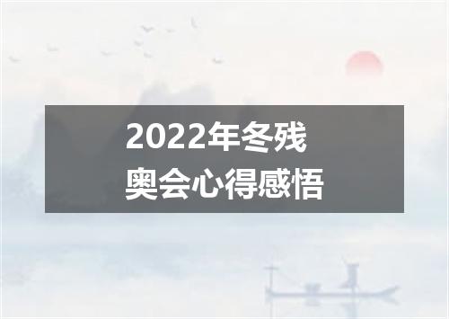 2022年冬残奥会心得感悟