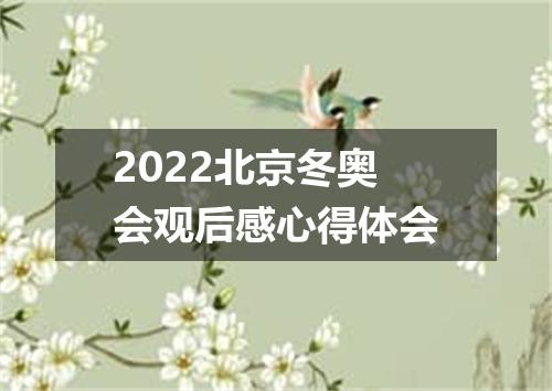2022北京冬奥会观后感心得体会