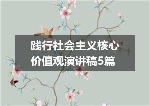 践行社会主义核心价值观演讲稿5篇