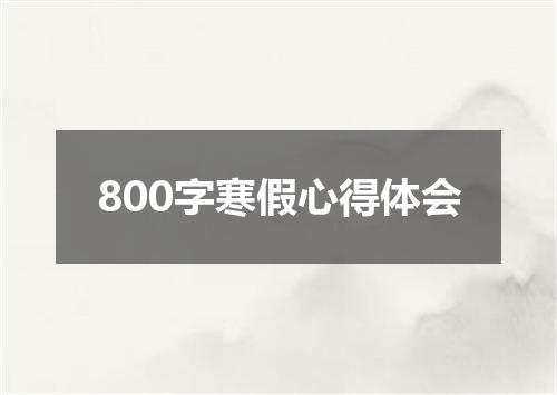 800字寒假心得体会