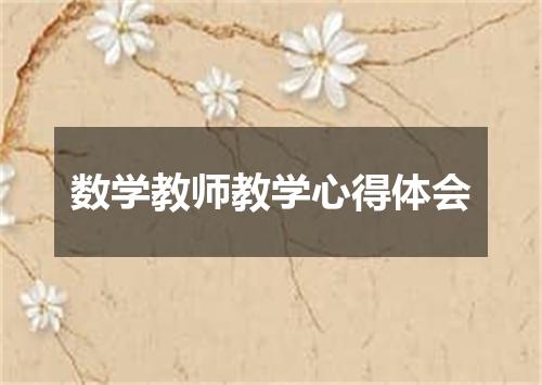 数学教师教学心得体会