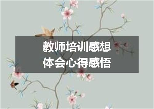 教师培训感想体会心得感悟