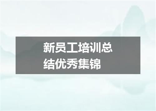 新员工培训总结优秀集锦