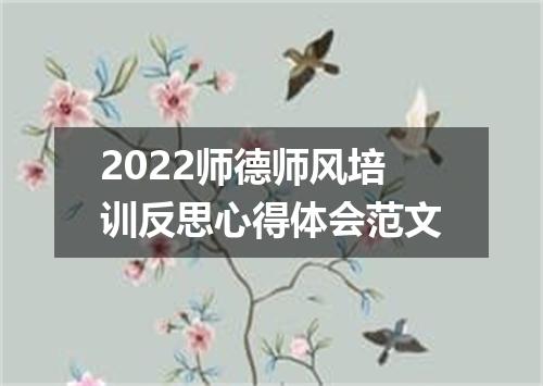 2022师德师风培训反思心得体会范文