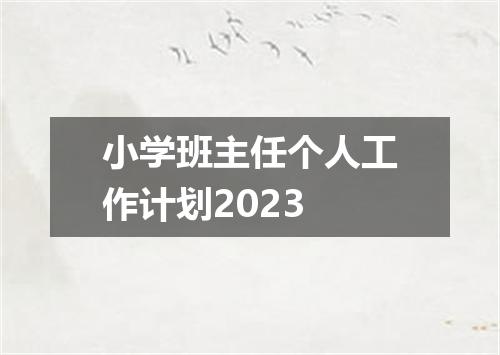小学班主任个人工作计划2023