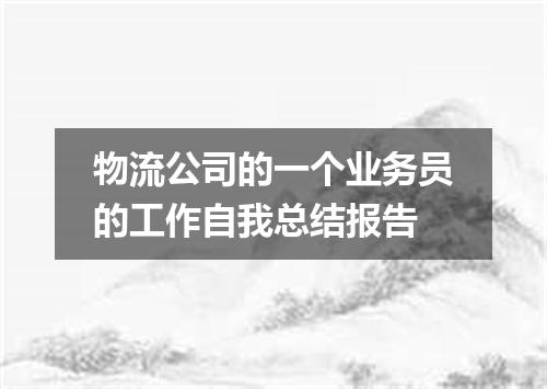 物流公司的一个业务员的工作自我总结报告