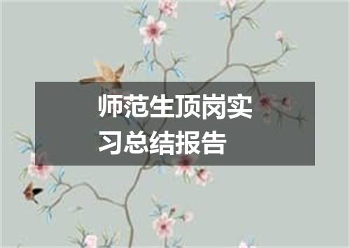 师范生顶岗实习总结报告