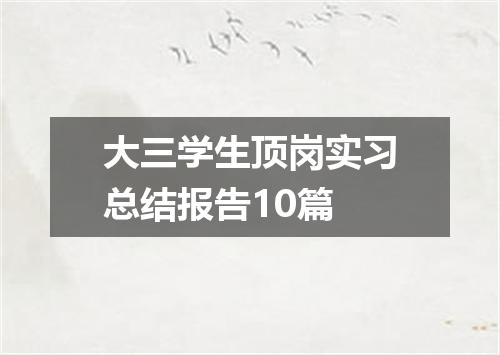 大三学生顶岗实习总结报告10篇