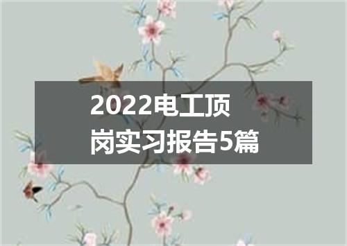 2022电工顶岗实习报告5篇