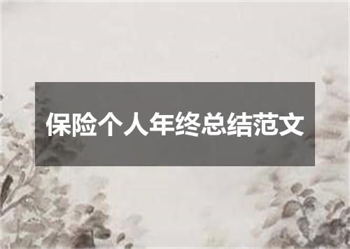 保险个人年终总结范文