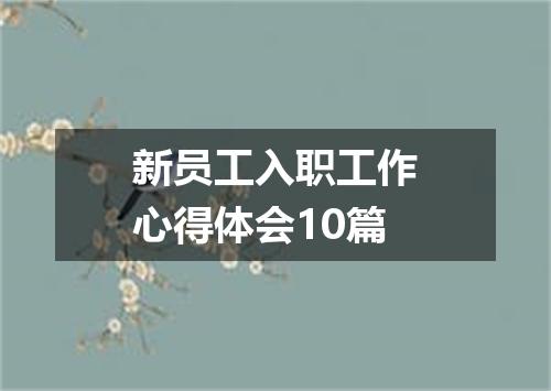 新员工入职工作心得体会10篇