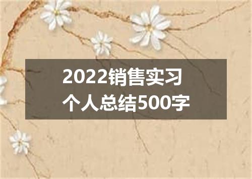 2022销售实习个人总结500字