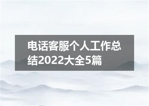 电话客服个人工作总结2022大全5篇