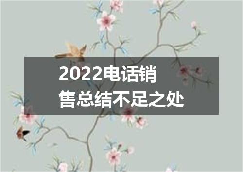 2022电话销售总结不足之处