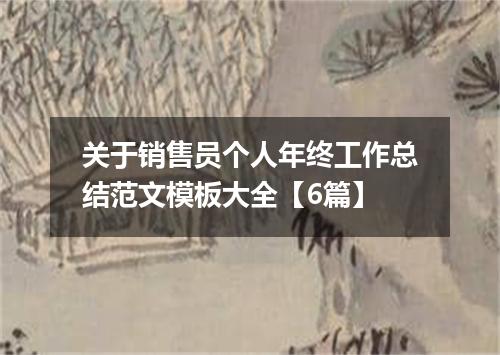 关于销售员个人年终工作总结范文模板大全【6篇】