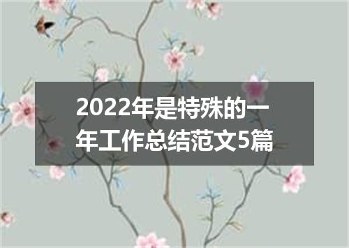 2022年是特殊的一年工作总结范文5篇