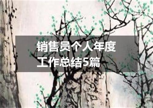 销售员个人年度工作总结5篇