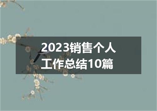 2023销售个人工作总结10篇