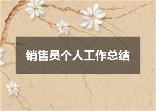 销售员个人工作总结