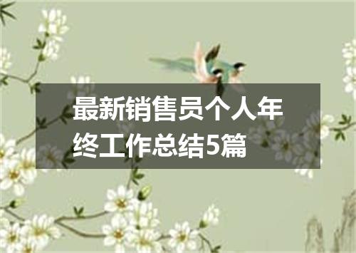 最新销售员个人年终工作总结5篇