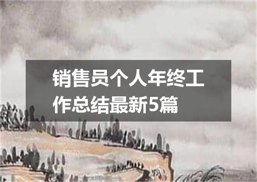 销售员个人年终工作总结最新5篇