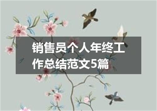 销售员个人年终工作总结范文5篇