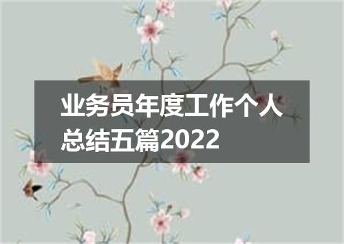 业务员年度工作个人总结五篇2022