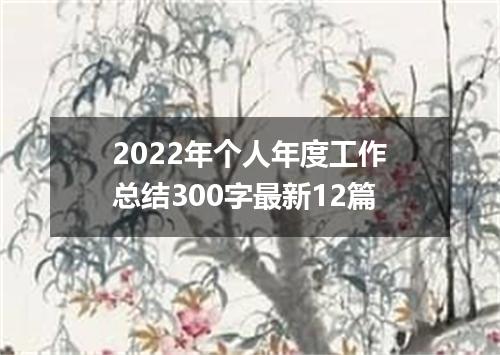 2022年个人年度工作总结300字最新12篇