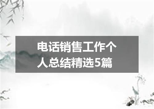 电话销售工作个人总结精选5篇