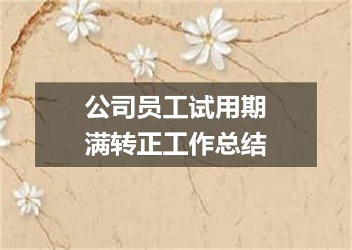 公司员工试用期满转正工作总结