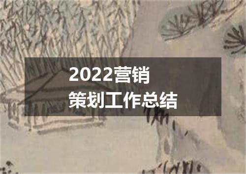 2022营销策划工作总结