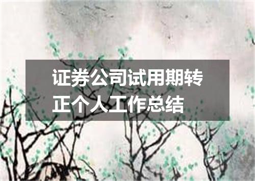 证券公司试用期转正个人工作总结