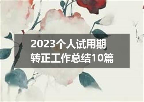 2023个人试用期转正工作总结10篇