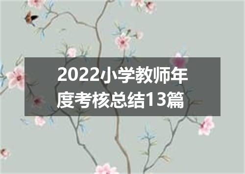 2022小学教师年度考核总结13篇