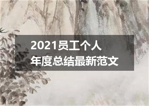 2021员工个人年度总结最新范文