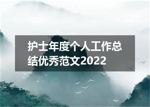护士年度个人工作总结优秀范文2022