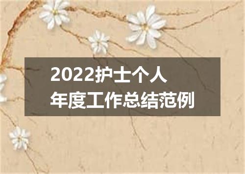 2022护士个人年度工作总结范例