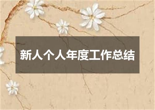 新人个人年度工作总结