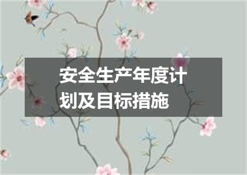 安全生产年度计划及目标措施