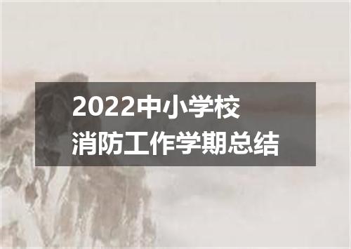 2022中小学校消防工作学期总结