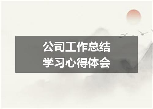 公司工作总结学习心得体会