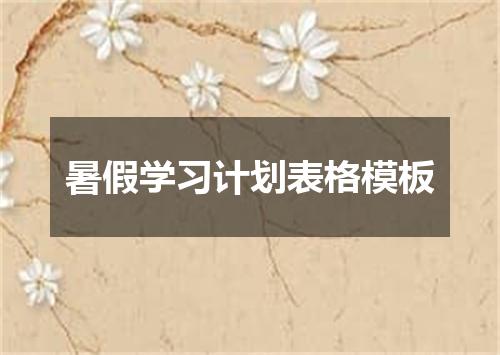 暑假学习计划表格模板