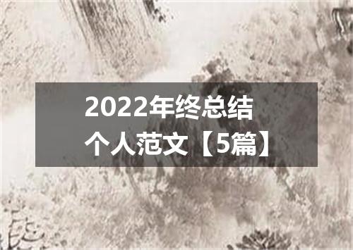 2022年终总结个人范文【5篇】